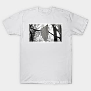 Leaf Ghost T-Shirt